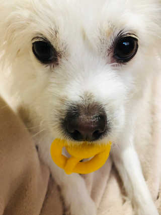 Lily님이 올린 리뷰 사진 2