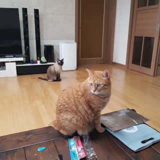 소세연님이 올린 리뷰 사진 1