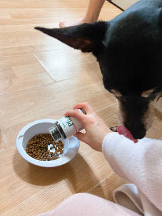 키메진님이 올린 리뷰 사진 1