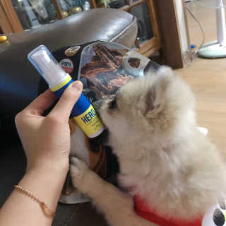 워니쨩님이 올린 리뷰 사진 1