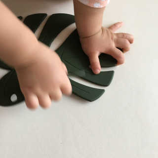 언제나님이 올린 리뷰 사진 4