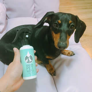 twotkdgml님이 올린 리뷰 사진 2
