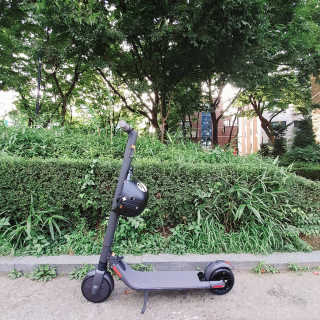 에디터보나님이 올린 리뷰 사진 1