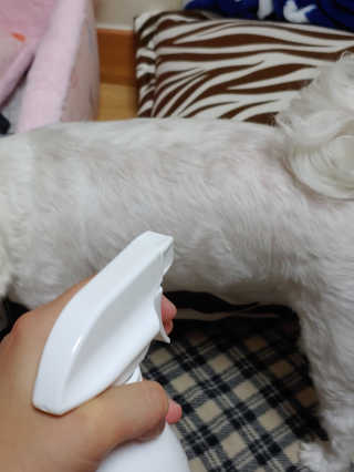 쥬앙쥬앙님이 올린 리뷰 사진 3
