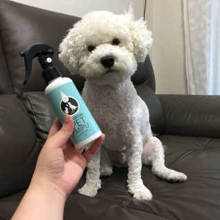 혜진님이 올린 리뷰 사진 3