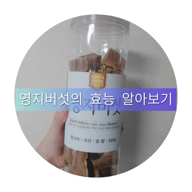 영지버섯 리뷰 사진