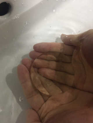 오렌지반쪽님이 올린 리뷰 사진 2