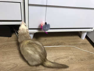 이소현님이 올린 리뷰 사진 2