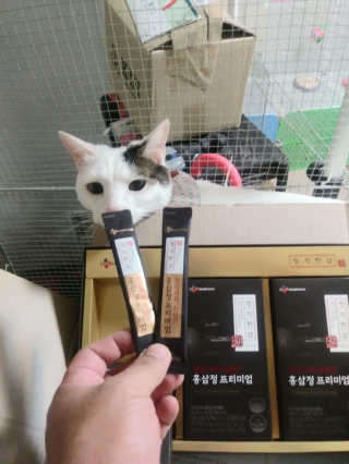 SeulonPark님이 올린 리뷰 사진 4