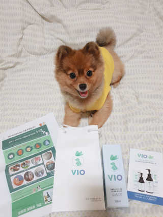 은선이짱님이 올린 리뷰 사진 2