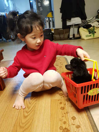 페츠모아 냄새잡는 요술배변패드 — 4점을 준 리뷰어가 2020년 3월 올린 사용 사진