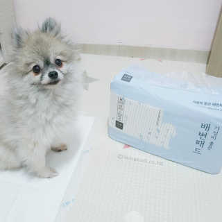 보람님이 올린 리뷰 사진 1