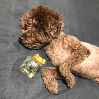 으닝님이 올린 리뷰 사진 2
