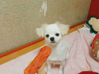 예진님이 올린 리뷰 사진 2