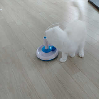 꺼억님이 올린 리뷰 사진 3