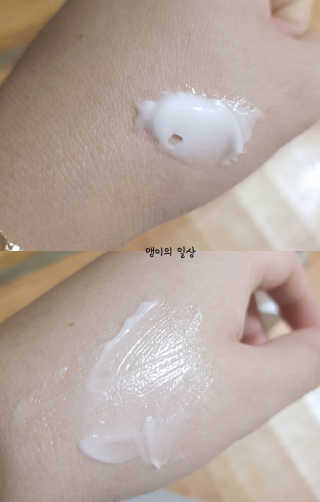 355ml님이 올린 리뷰 사진 2