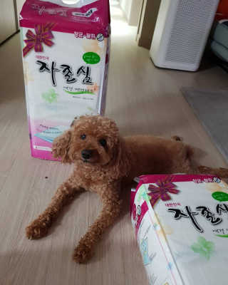narae님이 올린 리뷰 사진 2