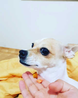 남초롱님이 올린 리뷰 사진 2