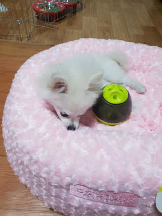 SIENA님이 올린 리뷰 사진 2