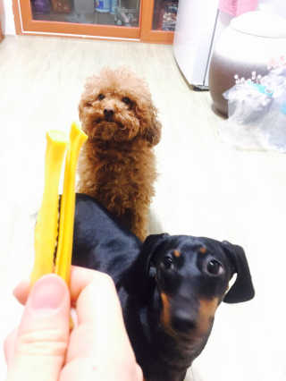 real2bbee님이 올린 리뷰 사진 1