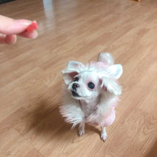cherry님이 올린 리뷰 사진 4
