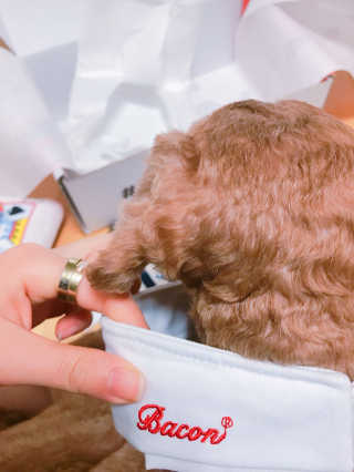 ye0229님이 올린 리뷰 사진 2
