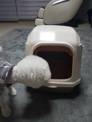 [펫토리아] BEST 한큐뚝딱 고양이 후드형 화장실 — 4점을 준 리뷰어가 2019년 1월 올린 사용 사진