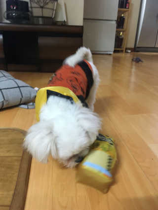 JuYeongKim님이 올린 리뷰 사진 1