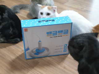 갓수진님이 올린 리뷰 사진 1