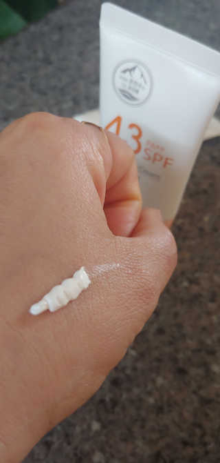 오수재너님이 올린 리뷰 사진 4