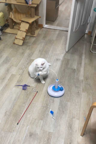 김노롸님이 올린 리뷰 사진 4