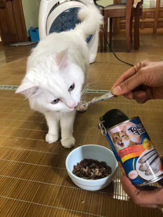 제시님이 올린 리뷰 사진 3