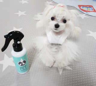ㅌㅐㄹㅣ님이 올린 리뷰 사진 1