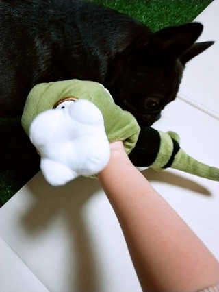 쩡님이 올린 리뷰 사진 2