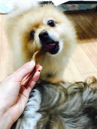 쿠키쿠님이 올린 리뷰 사진 4