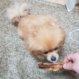 짱아언니님이 올린 리뷰 사진 3