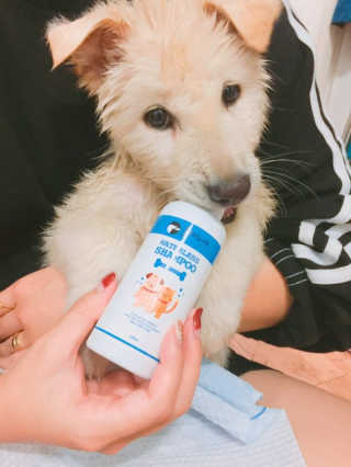 때잉님이 올린 리뷰 사진 2