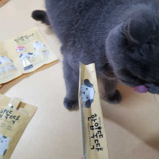 [펫토리아] 강아지,고양이겸용 짜먹는 한입뚝딱 — 5점을 준 리뷰어가 2019년 1월 올린 사용 사진