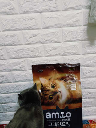 조뇨님이 올린 리뷰 사진 2