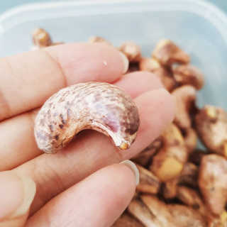 발랄써냐님이 올린 리뷰 사진 2