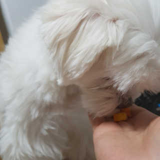 뽀오오옹님이 올린 리뷰 사진 3