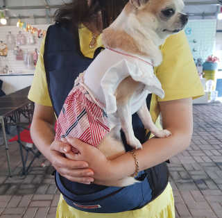 보리보리님이 올린 리뷰 사진 1