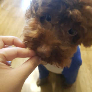 바이미르님이 올린 리뷰 사진 4