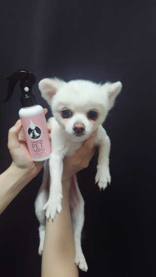 스릉이님이 올린 리뷰 사진 2