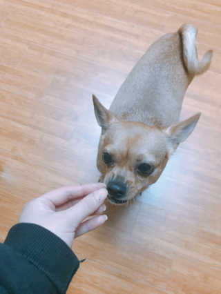 유르율님이 올린 리뷰 사진 1