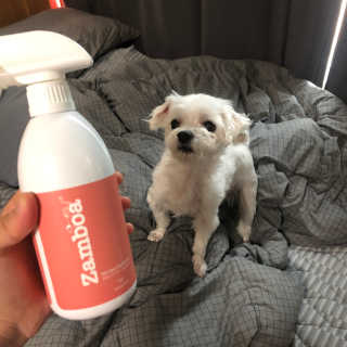 유니뀨님이 올린 리뷰 사진 1