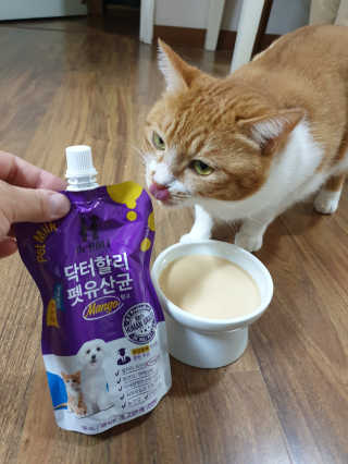 닥터할리펫밀크 8종 — 5점을 준 리뷰어가 2018년 10월 올린 사용 사진