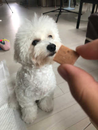 legendyoonjin님이 올린 리뷰 사진 2
