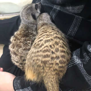 잉뚜잉님이 올린 리뷰 사진 3