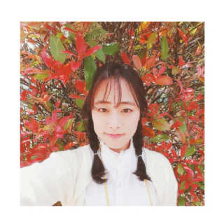 이정미님이 올린 리뷰 사진 2